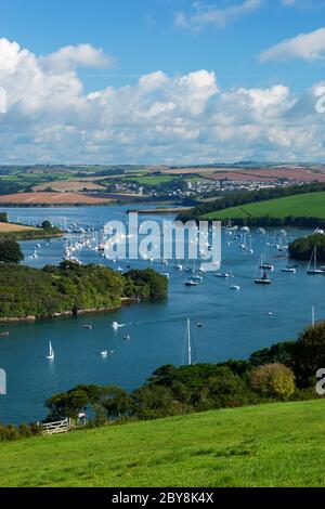 Vista lungo l'estuario di Kingsbridge Foto Stock