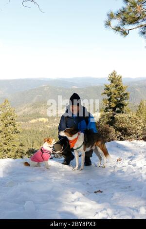 I cani aspettano con il proprietario da foresta treeline Foto Stock