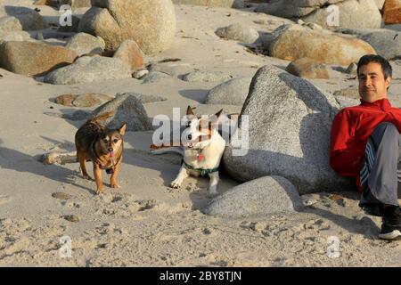 L'uomo riposa con i cani sulla spiaggia Foto Stock