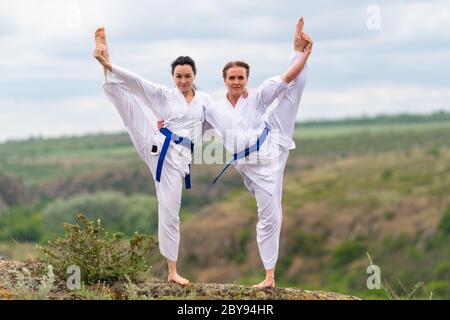 Due giovani donne che fanno lo yoga acro sincronizzato o lo yoga acrobatico che si equilibrano su un braccio della gamba in un paesaggio rurale Foto Stock