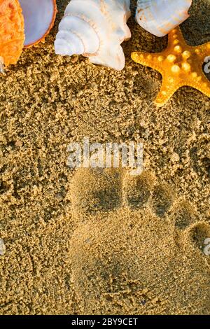 Una traccia sul cigolio di un piede umano impresso. La conchiglia e le stelle marine si trovano sulla spiaggia. Foto Stock