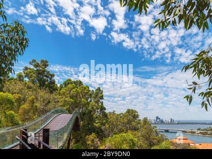 Lotterywest Federation Walkway (Glass Bridge) guardando verso il quartiere finanziario centrale, il King's Park Botanic Garden, Perth, Australia Occidentale, Aus Foto Stock