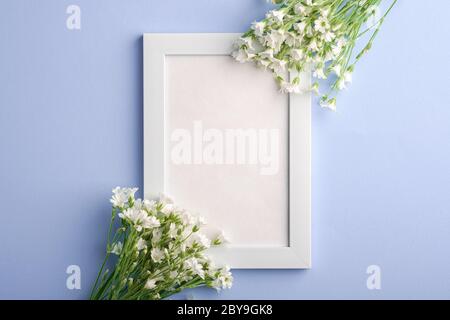 Bianco mockup cornice foto vuota con mouse-orecchio fiori di ceci su sfondo blu, vista dall'alto spazio copia Foto Stock