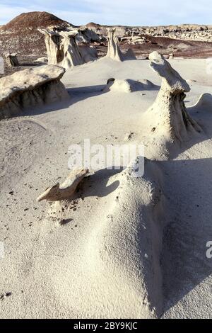 NM00566-00...NUOVO MESSICO - formazioni nella natura selvaggia di Bisti (Bisti/De-Na-Zin), parte della nazione Navajo. Foto Stock