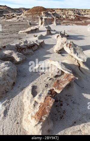 NM00567-00...NUOVO MESSICO - formazioni nella natura selvaggia di Bisti (Bisti/De-Na-Zin), parte della nazione Navajo. Foto Stock