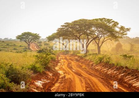 Strada sterrata molto tipica per safari nel parco nazionale delle cascate di Murchison in Uganda al tramonto. Foto Stock