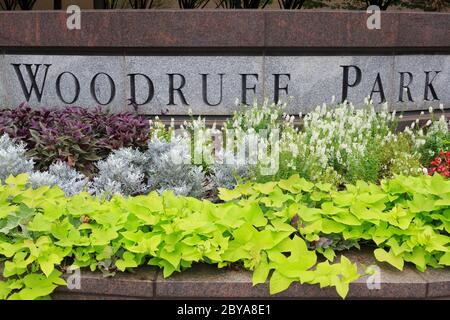 Woodruff Park, Five Points District, Atlanta, Georgia, Stati Uniti Foto Stock