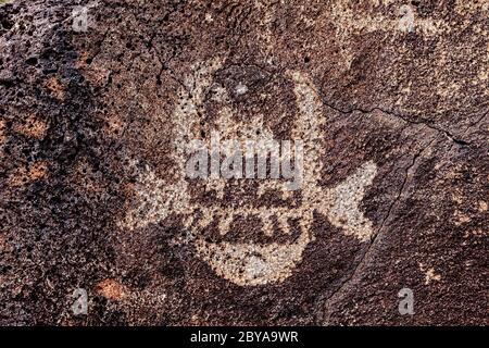 NM00647-00...NUOVO MESSICO - Petroglifi nel Canyon di Boca Negra, Petroglyph National Monument. Foto Stock