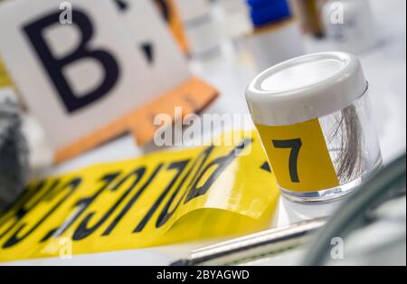 Laboratorio Criminalistic, analisi del capello, immagine concettuale Foto Stock