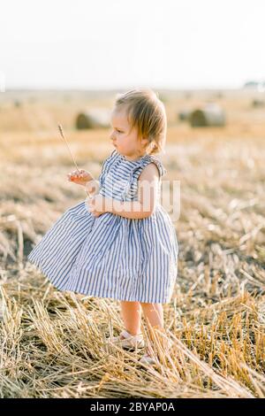 ritratto a lunghezza intera di bambino felice ragazza carina del bambino in abito a righe, che cammina in un campo estivo di grano, tenendo uno spiraletto. La bambina ama Foto Stock