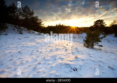 Tramonto sulla collina invernale a Veluwe Foto Stock