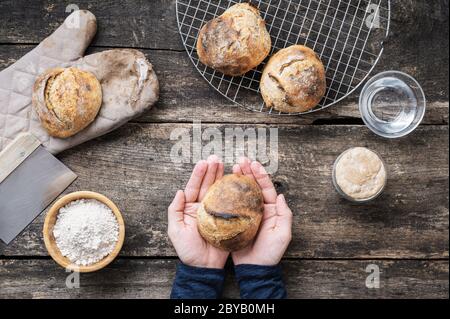 Vista dall'alto della mano maschile che tiene il pane fatto in casa appena sfornato con ingredienti come farina, acqua e lievito di partenza intorno ad esso. Foto Stock