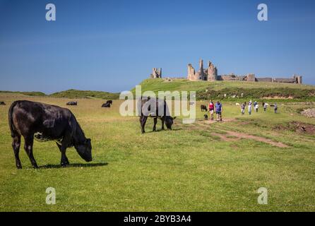 Dunstanburgh Castle da sud Foto Stock