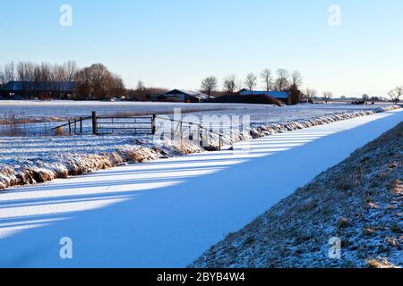 alberi ombre sui campi in inverno Foto Stock