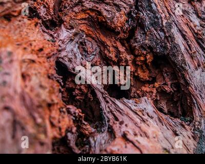 Struttura di pietra vulcanica rossa fatta dopo la solidificazione di lava, vista dettagliata Foto Stock