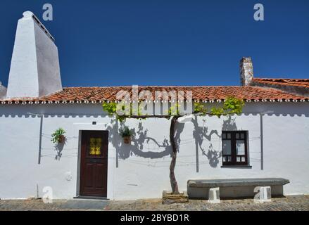 Di fronte a casa tipica in una piccola città della regione di Alentejo in Portogallo. Pianta di vite che cresce Foto Stock