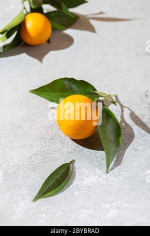Arance intere con foglie di arance su sfondo bianco spazio copia Foto Stock
