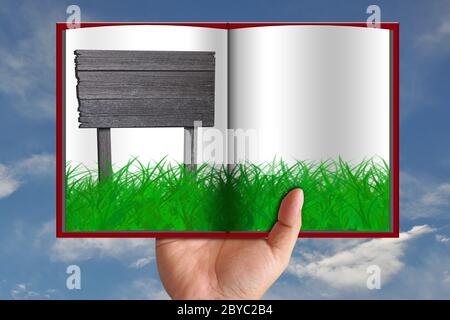 Erba verde in libro e segno di legno Foto Stock