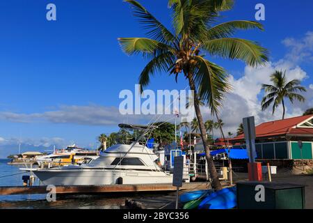 Piccola barca Porto, Lahaina, Isola di Maui, Hawaii, STATI UNITI D'AMERICA Foto Stock