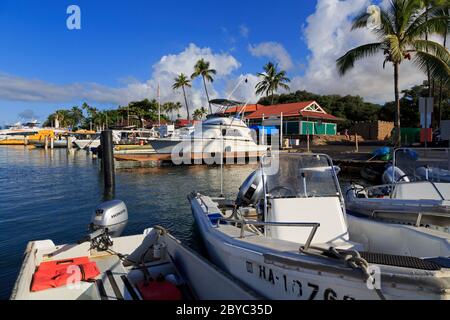 Piccola barca Porto, Lahaina, Isola di Maui, Hawaii, STATI UNITI D'AMERICA Foto Stock