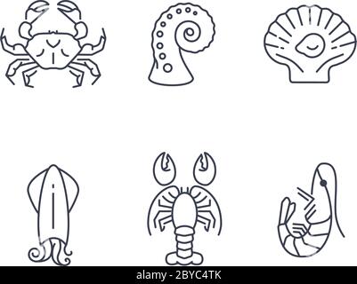 Semplice set di icone di animali marini, frutti di mare vettoriali Illustrazione Vettoriale