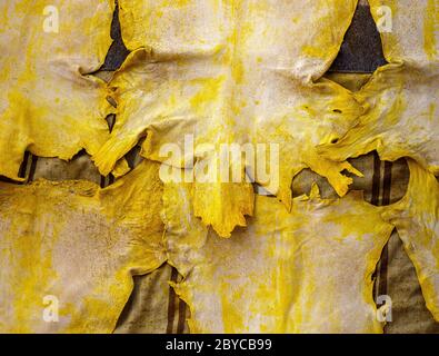 FEZ, MAROCCO - CIRCA MAGGIO 2018: Dettaglio di pezzi di pelle appesi alla conceria Chouara a Fes. Costruito nel 11 ° secolo, è la più grande conceria i Foto Stock