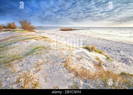 Dune di sabbia sulla spiaggia Foto Stock