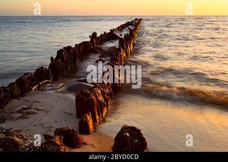 Vecchia breakwater nel Mare del Nord al tramonto Foto Stock
