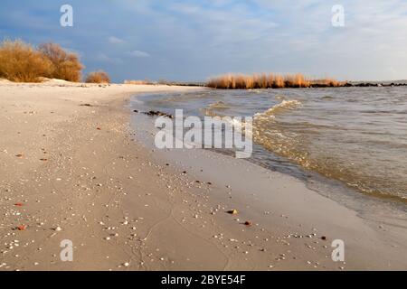 Spiaggia di sabbia sul Mare del Nord, Hindeloopen Foto Stock