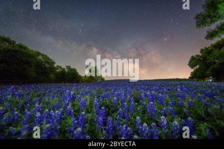 Bella strada lattiginosa sopra il blueboonnet di fiori selvatici, fiore di stato del Texas a Ennis Foto Stock