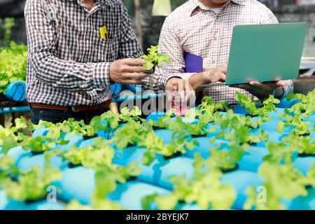 Fattoria di hydroponics ,test di lavoratore e di raccogliere i dati ambientali da lattuga hydroponic organici vegetali alla fattoria di serra giardino. Foto Stock