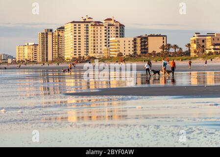 Attività all'alba a Jacksonville Beach, nel nord-est della Florida. (STATI UNITI) Foto Stock