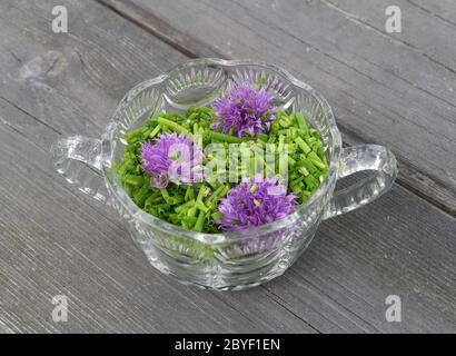 Erba cipollina, Allium schoenoprasum Foto Stock