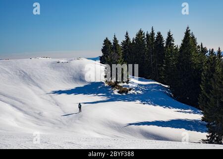 Scoprite le splendide montagne rumene. Transilvania Foto Stock