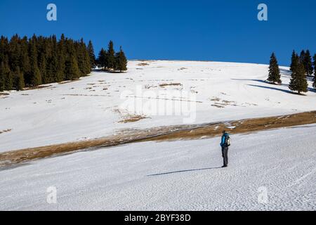 Scoprite le splendide montagne rumene. Transilvania Foto Stock