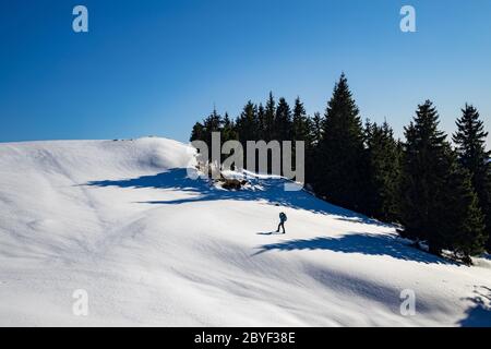 Scoprite le splendide montagne rumene. Transilvania Foto Stock