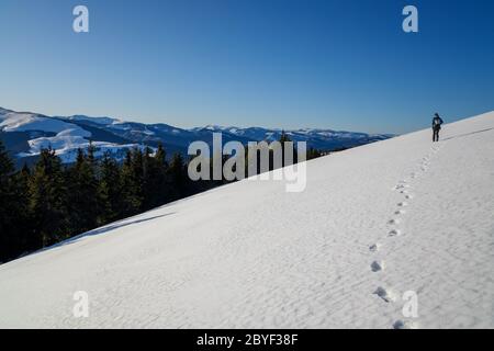 Scoprite le splendide montagne rumene. Transilvania Foto Stock