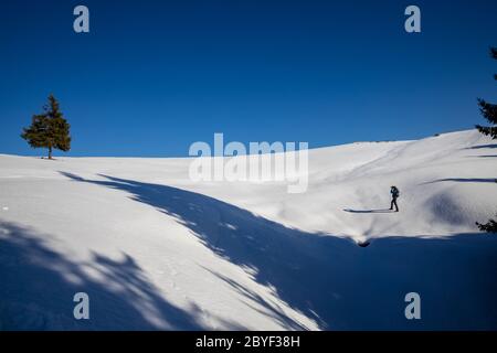 Scoprite le splendide montagne rumene. Transilvania Foto Stock