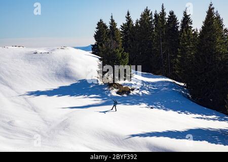 Scoprite le splendide montagne rumene. Transilvania Foto Stock