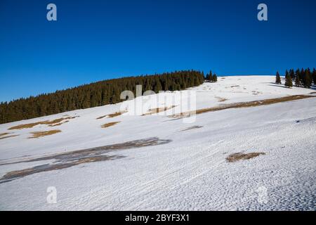 Scoprite le splendide Montagne Romene - paesaggio invernale Foto Stock