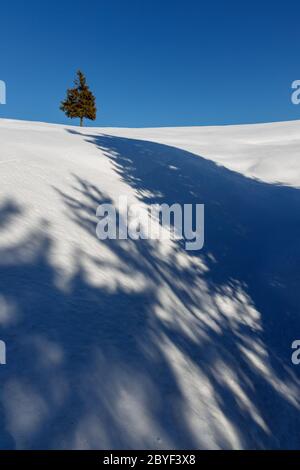 Scoprite le splendide Montagne Romene - paesaggio invernale Foto Stock