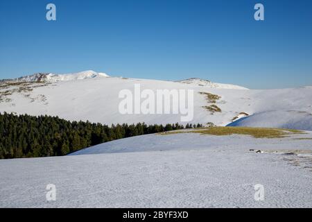 Scoprite le splendide Montagne Romene - paesaggio invernale Foto Stock