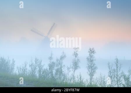 Mulino a vento olandese in fitta nebbia all'alba Foto Stock