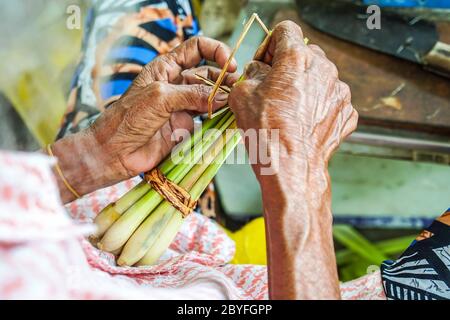 Mani di donna aborigena in Malesia legando un mazzo di gambi di citronella con filo di banana pseudo-stelo fibra as parte dell'imballaggio ecologico Foto Stock