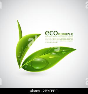 Foglie ecologiche realistiche. Illustrazione Vettoriale