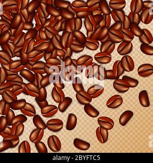 Chicchi di caffè su sfondo trasparente. Illustrazione Vettoriale