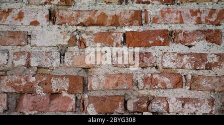 Un vecchio muro di mattoni decaduto come struttura. Foto Stock