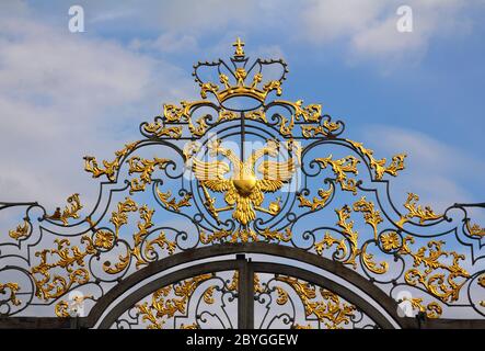 Frammento di porta del palazzo di caterina a Tsarskoye Selo Foto Stock