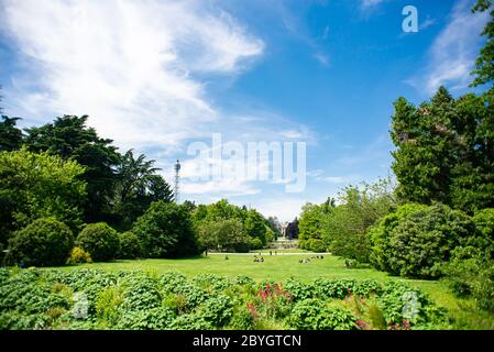 Parco Sempione (Parco Sempione) a Milano con turisti, Italia. Vista sull'Arco della Pace. Cielo blu. Foto Stock