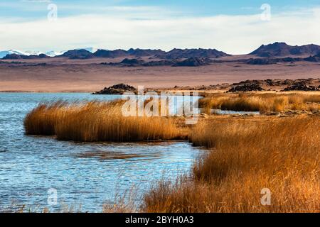 riva del lago di montagna Foto Stock